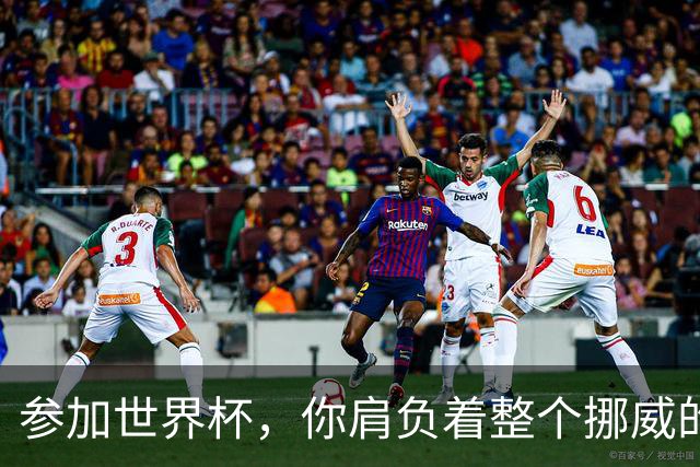 参加世界杯，你肩负着整个挪威的期望！哈兰德：我喜欢这样