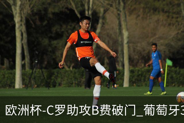 欧洲杯-C罗助攻B费破门 葡萄牙3-0土耳其